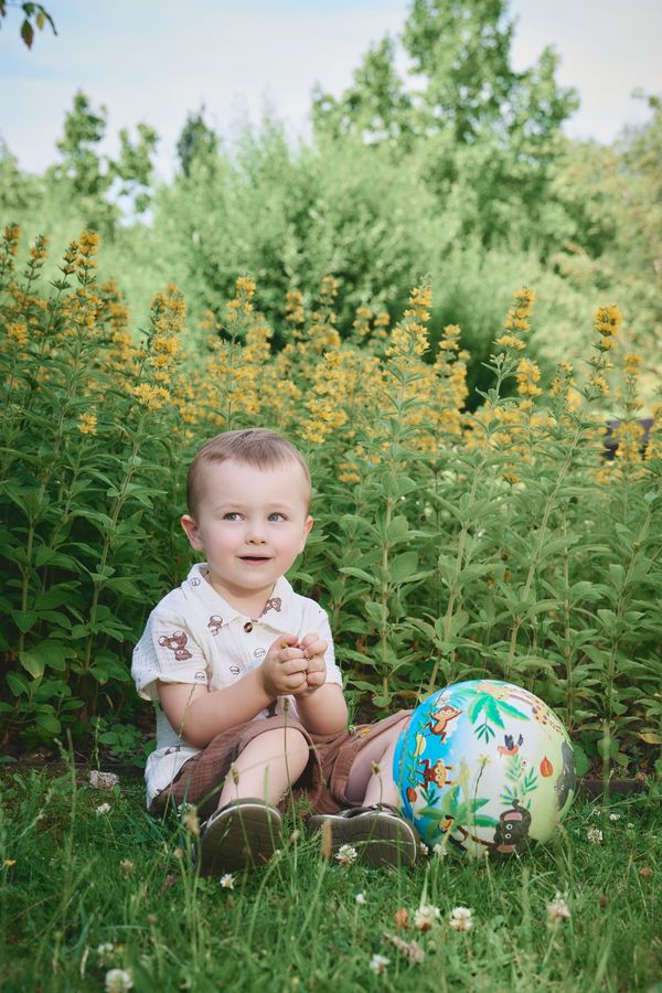 Petit garçon assis dans l'herbe devant un massif de fleurs jaunes, un ballon peint d'animaux à côté de lui