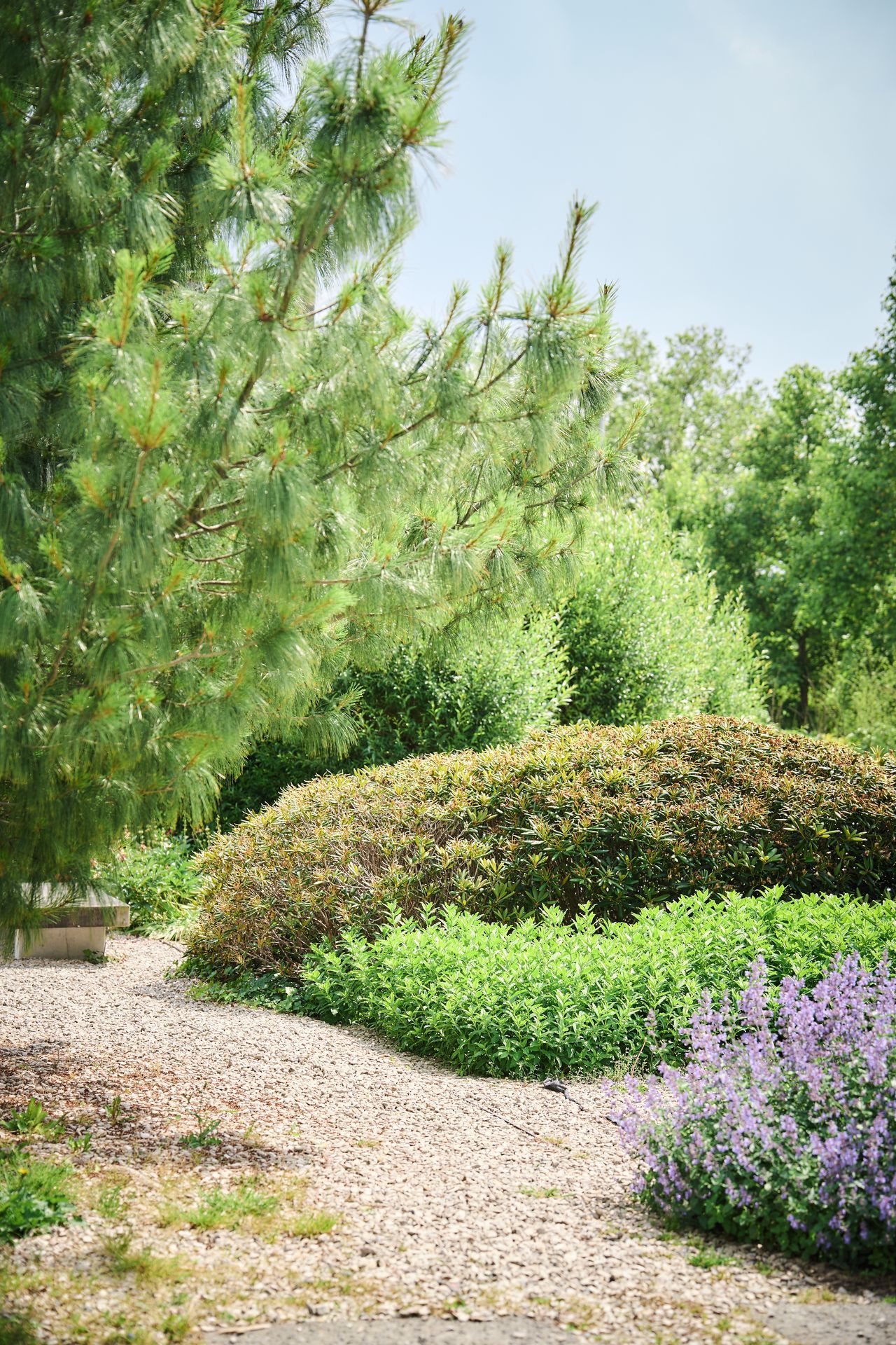 Jardins du Colysée